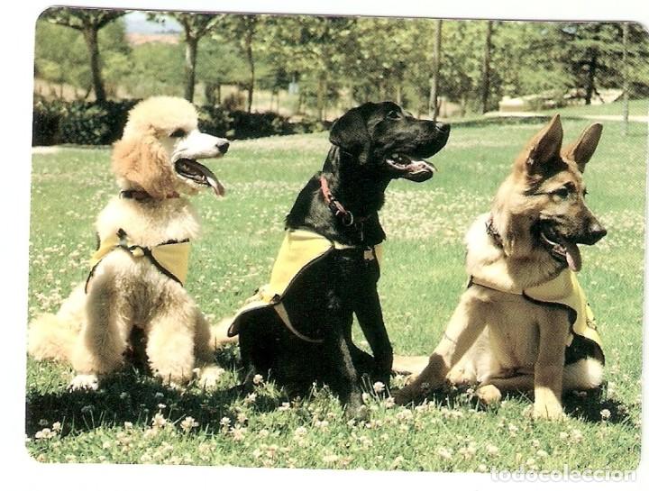Coleccionismo Calendarios: CALENDARIO FUNDACION ONCE PERRO GUIA 2014