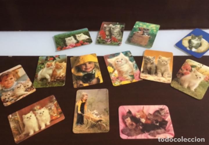 Coleccionismo calendarios: Lote  calendarios de gatos - Foto 1