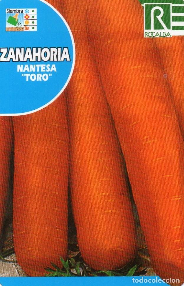 Coleccionismo Calendarios: Calendario de Publicidad 2008 ROCALBA - ZANAORIA MONTESA