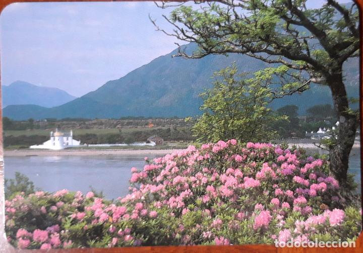 Coleccionismo calendarios: CALENDARIO 1997 - Foto 1