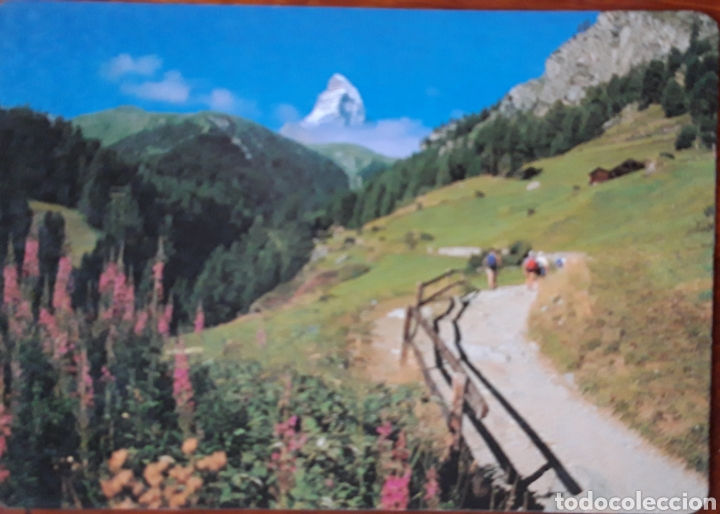 Coleccionismo calendarios: CALENDARIO 1996 - Foto 1