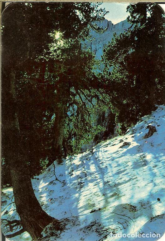 Coleccionismo Calendarios: CALENDARIO DE SERIE - 1970 - GRAY N&ordm; 201