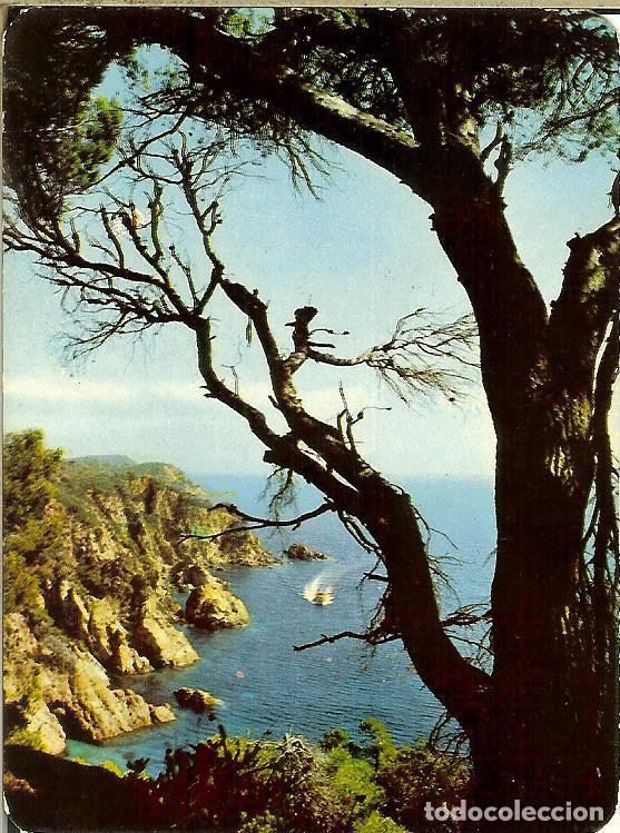 Coleccionismo Calendarios: CALENDARIO DE SERIE - A&Ntilde;O 1970 - 2.018 - Publicidad de Le&oacute;n