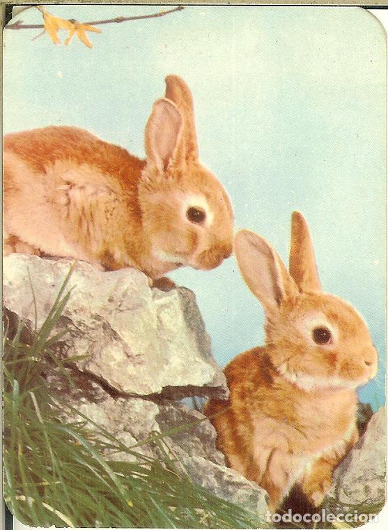 Coleccionismo Calendarios: CALENDARIO DE SERIE - A&Ntilde;O 1970 - 2.013 - D.L.B. 2.613 - Publicidad de Le&oacute;n