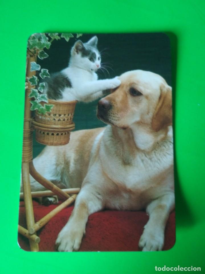 Calendario de bolsillo tema perros 1996