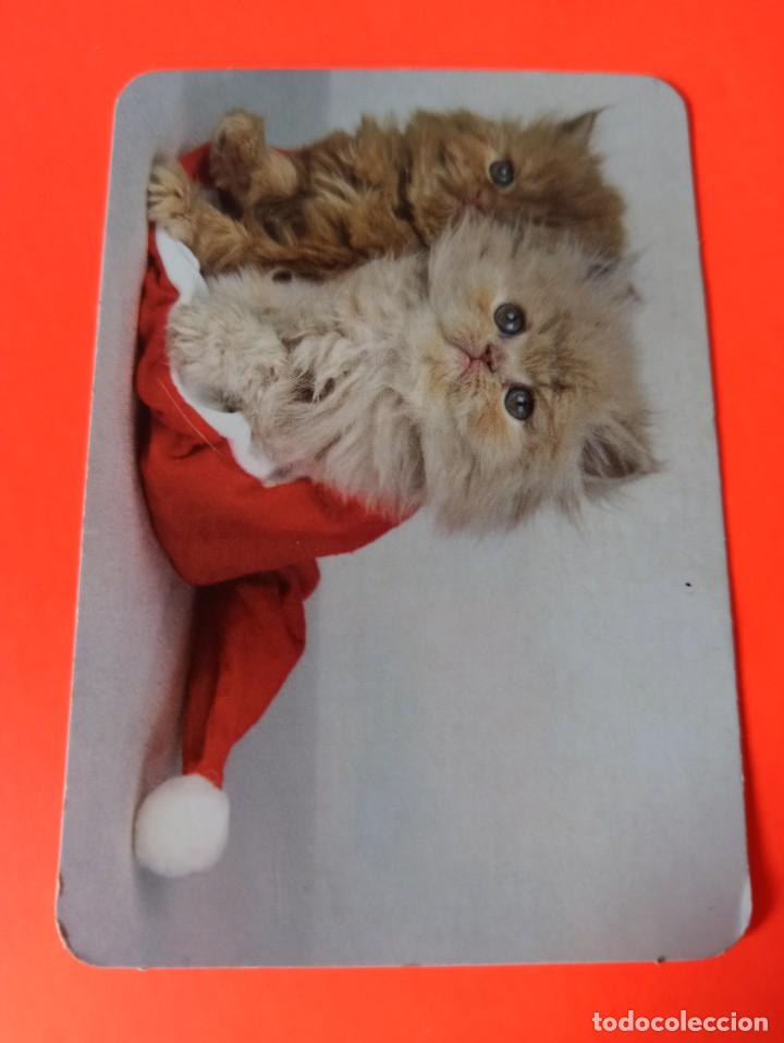 Sammeln von Kalendern: Calendario de academia Torrente 2008 - Gatos