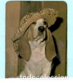 Collectionnisme Calendriers: CALENDARIO EXTRANJERO DE PERRO DEL A&Ntilde;O 1988 PUBLICIDAD Z&Oacute;O PERFEITO COIMBRA