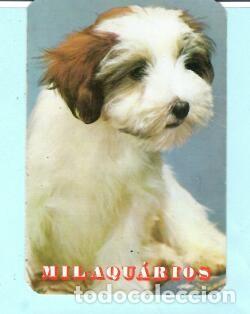 Collectables Calendars: CALENDARIO EXTRANJERO DE PERROS DEL A&Ntilde;O 1988 PUBLICIDAD HILAQU&Aacute;RIOS OEIRAS