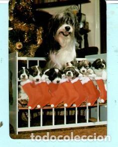 Collectables Calendars: CALENDARIO EXTRANJERO DE PERROS DEL A&Ntilde;O 1988 PUBLICIDAD CERVECERIA PORTIM&Aacute;O