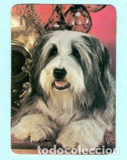 Collectables Calendars: CALENDARIO EXTRANJERO DE PERROS DEL A&Ntilde;O 1988 PUBLICIDAD COLECCIONISTA LISBOA