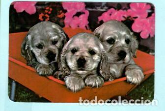 Collectables Calendars: CALENDARIO EXTRANJERO DE PERROS DEL A&Ntilde;O 1989 PUBLICIDAD M&Oacute;VEIS GAIA