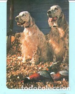 Collectables Calendars: CALENDARIO EXTRANJERO DE PERROS DEL A&Ntilde;O 1989 PUBLICIDAD INOXIDABLE PORTO