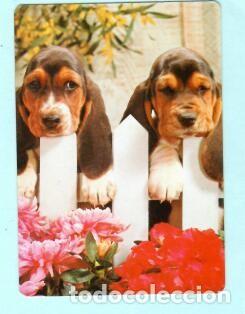 Collectables Calendars: CALENDARIO EXTRANJERO DE PERROS DEL A&Ntilde;O 1989 PUBLICIDAD ELECTRICIDAD CONDEIXA