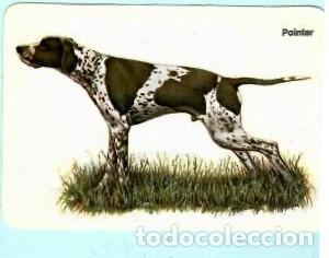 Collectables Calendars: CALENDARIO EXTRANJERO DE PERRO DEL A&Ntilde;O 1989 PUBLICIDAD BOBINA PORTO