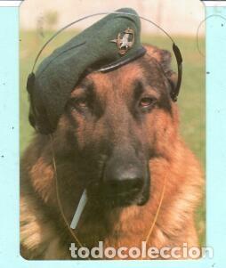 Collectables Calendars: CALENDARIO EXTRANJERO DE PERRO DEL A&Ntilde;O 1993 PUBLICIDAD ARTES MATOSINHOS