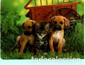 Collectables Calendars: CALENDARIO EXTRANJERO DE ANIMALES PERROS DEL A&Ntilde;O 1992 PUBLICIDAD PASTELERIA