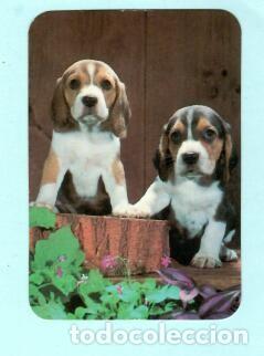 Collectables Calendars: CALENDARIO EXTRANJERO DE ANIMALES PERROS DEL A&Ntilde;O 1990 PUBLICIDAD MOBILIARIA CONTANCIA