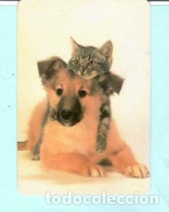 Collectables Calendars: CALENDARIO EXTRANJERO DE ANIMALES PERRO Y GATO DEL A&Ntilde;O 1990 PUBLICIDAD REPARACIONES PORTO