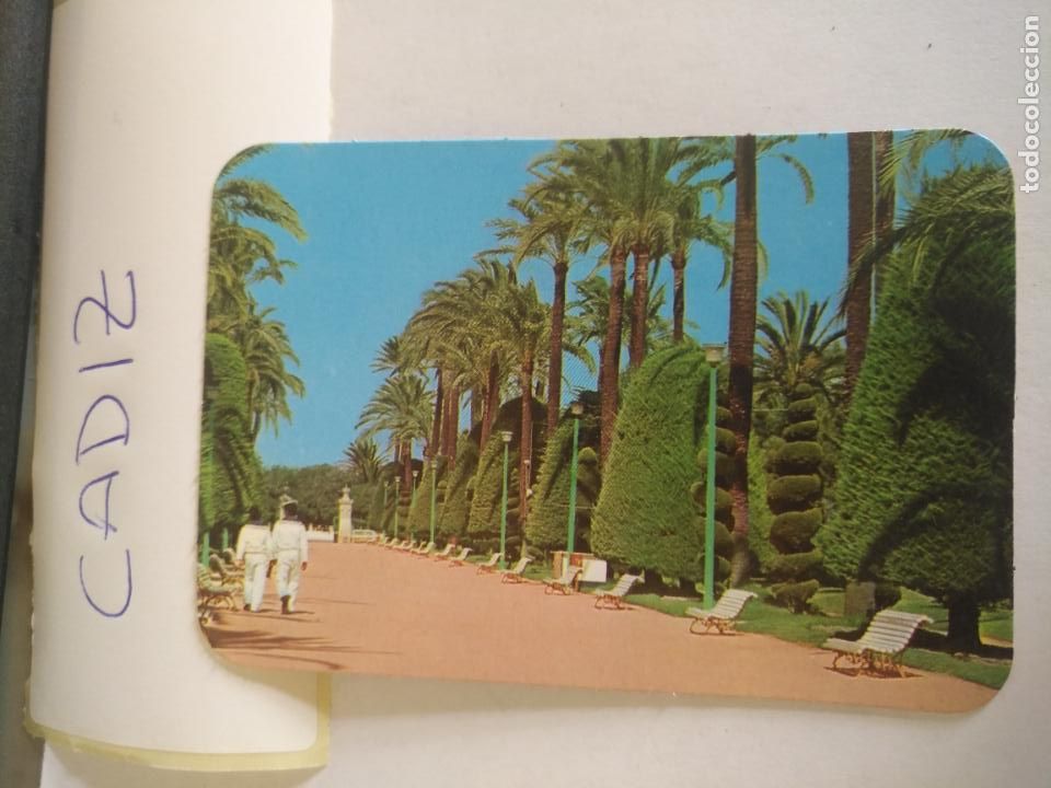 Collectionnisme Calendriers: HAGA SU OFERTA POR LOTES CALEDARIO DE BOLSILLO CADIZ ORIGINAL A&Ntilde;O 1981
