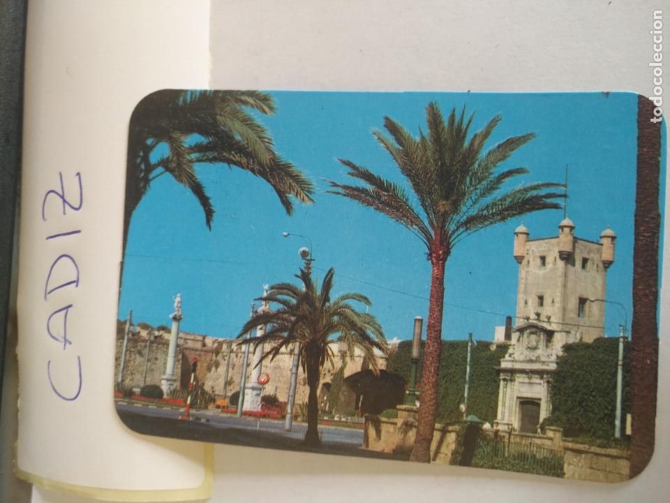 Collectionnisme Calendriers: HAGA SU OFERTA POR LOTES CALEDARIO DE BOLSILLO CADIZ ORIGINAL A&Ntilde;O 1981