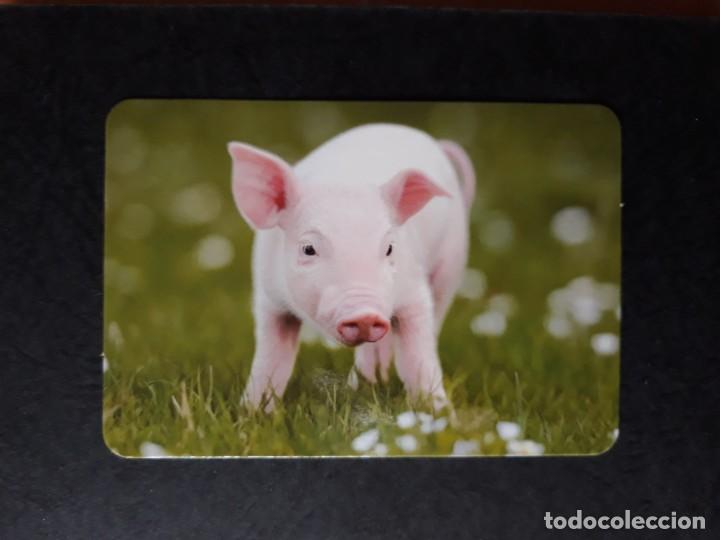 Collezionismo Calendari: CALENDARIO L-128. 2017 (PUBLICIDAD)