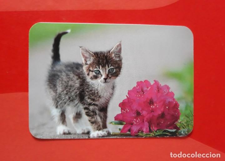 Collezionismo Calendari: CALENDARIO SERIE EDIJAR N&deg; 11. 2016 SIN PUBLICIDAD.