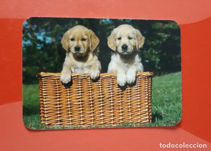 Collezionismo Calendari: CALENDARIO SERIE EDIJAR N&deg; 13. 2016 SIN PUBLICIDAD.