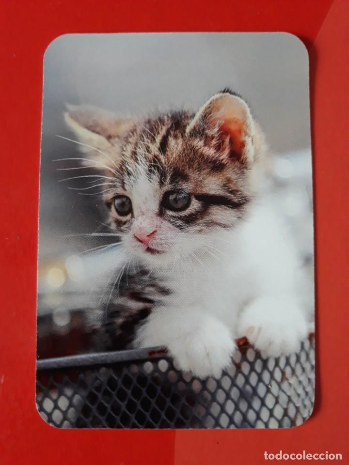 Collezionismo Calendari: CALENDARIO SERIE EDIJAR N&deg; 14. 2016 SIN PUBLICIDAD.