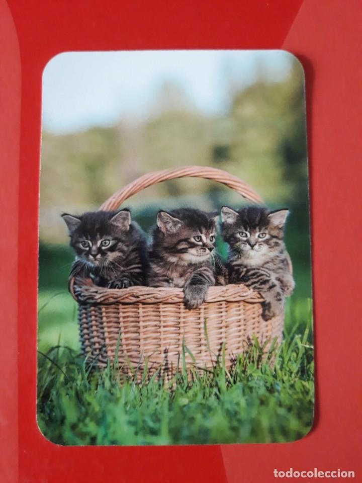 Collezionismo Calendari: CALENDARIO SERIE EDIJAR N&deg; 15. 2016 SIN PUBLICIDAD.