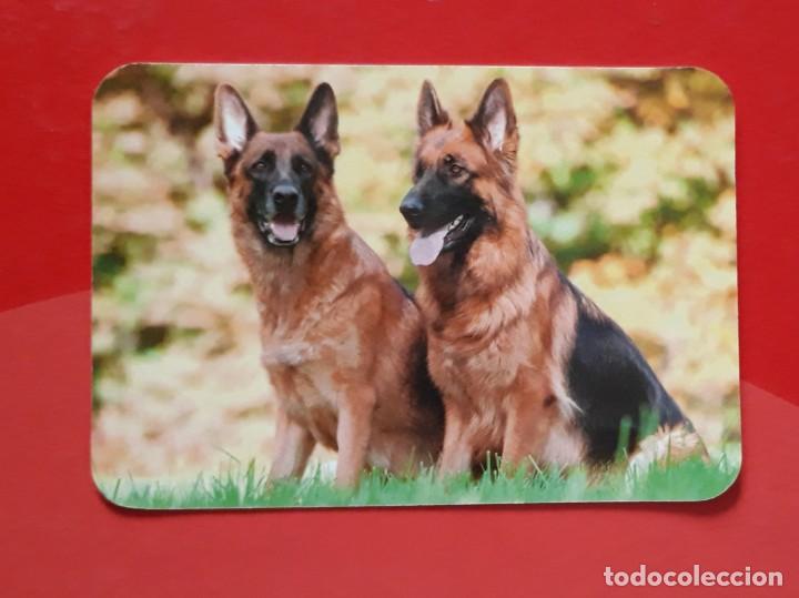 Collezionismo Calendari: CALENDARIO SERIE EDIJAR N&deg; 17. 2016 SIN PUBLICIDAD.