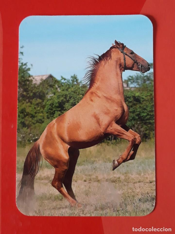 Collezionismo Calendari: CALENDARIO SERIE EDIJAR N&deg; 21. 2016 SIN PUBLICIDAD.