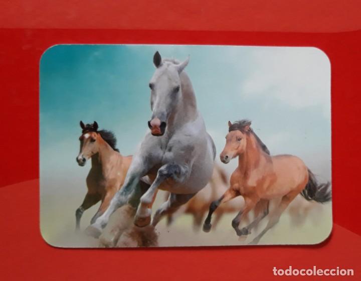 Colecionismo Calend&aacute;rios: CALENDARIO SERIE EDIJAR N&deg; 22. 2016 SIN PUBLICIDAD.