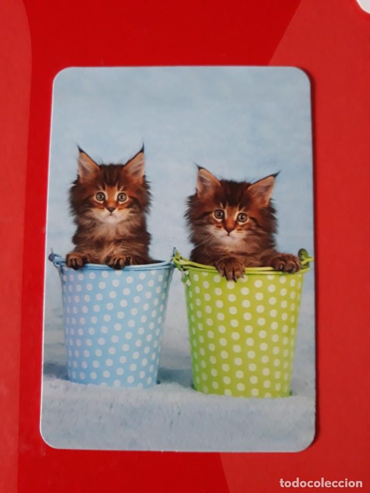 Colecionismo Calend&aacute;rios: CALENDARIO SERIE BO N&deg; 527. 2016 SIN PUBLICIDAD.