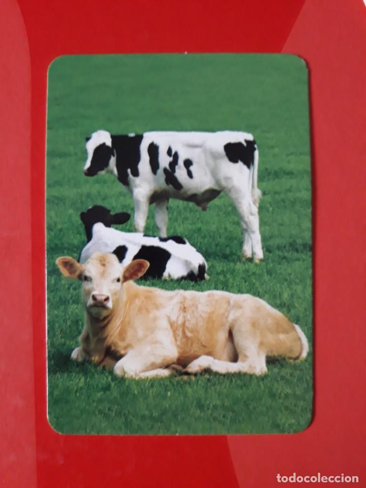 Colecionismo Calend&aacute;rios: CALENDARIO SERIE BO N&deg; 576. 2016 SIN PUBLICIDAD.