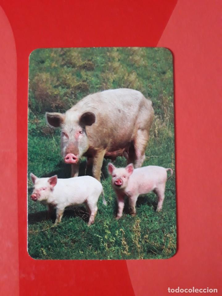 Colecionismo Calend&aacute;rios: CALENDARIO SERIE BO N&deg; 577. 2016 SIN PUBLICIDAD.