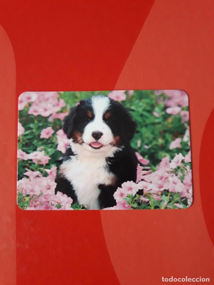 Colecionismo Calend&aacute;rios: CALENDARIO SERIE BO N&deg; 528. 2016 SIN PUBLICIDAD.