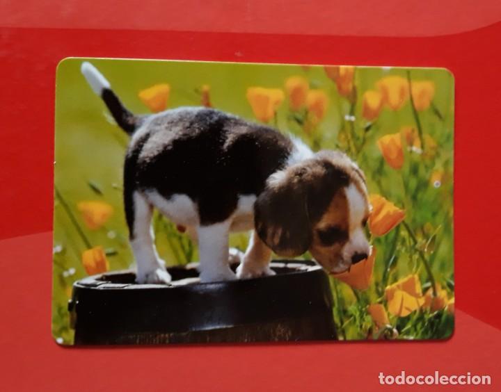 Colecionismo Calend&aacute;rios: CALENDARIO SERIE CB N&deg; 64. 2016 SIN PUBLICIDAD.