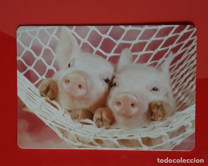 Colecionismo Calend&aacute;rios: CALENDARIO SERIE CB N&deg; 65. 2016 SIN PUBLICIDAD.