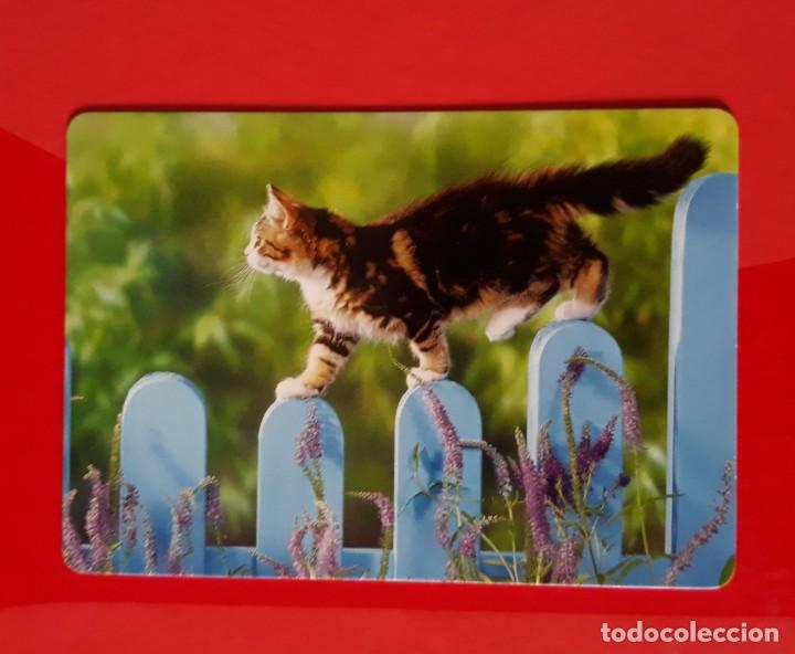 Colecionismo Calend&aacute;rios: CALENDARIO SERIE CB N&deg; 56. 2016 SIN PUBLICIDAD.