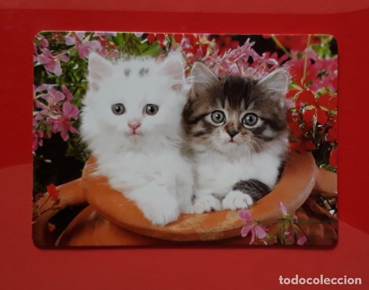 Colecionismo Calend&aacute;rios: CALENDARIO SERIE CB N&deg; 59. 2016 SIN PUBLICIDAD.