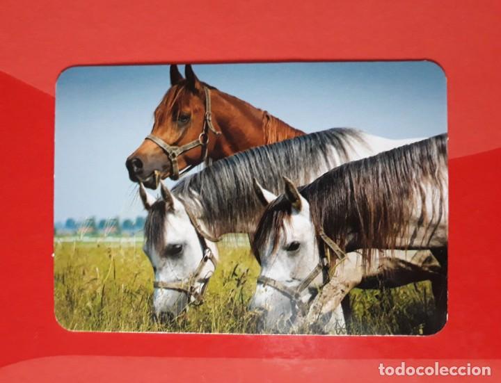 Colecionismo Calend&aacute;rios: CALENDARIO SERIE L N&deg; 124. 2016 SIN PUBLICIDAD.