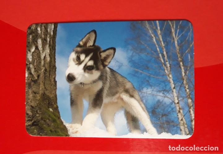 Coleccionismo Calendarios: CALENDARIO SERIE L N&deg; 134. 2016 SIN PUBLICIDAD.