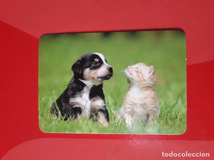 Coleccionismo Calendarios: CALENDARIO SERIE L N&deg; 135. 2016 SIN PUBLICIDAD.