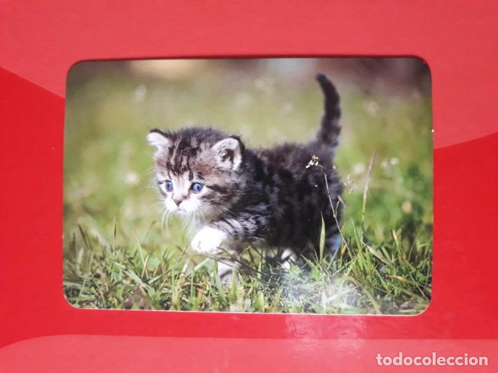 Coleccionismo Calendarios: CALENDARIO SERIE L N&deg; 136. 2016 SIN PUBLICIDAD.