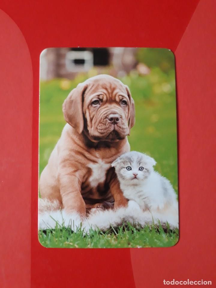 Coleccionismo Calendarios: CALENDARIO SERIE L N&deg; 138. 2016 SIN PUBLICIDAD.