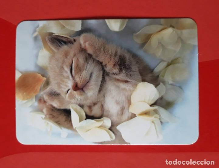 Sammeln von Kalendern: CALENDARIO SERIE L N&deg; 139. 2016 SIN PUBLICIDAD.