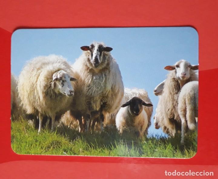 Sammeln von Kalendern: CALENDARIO SERIE N&deg; 7 (PAIS VASCO). 2016 SIN PUBLICIDAD.