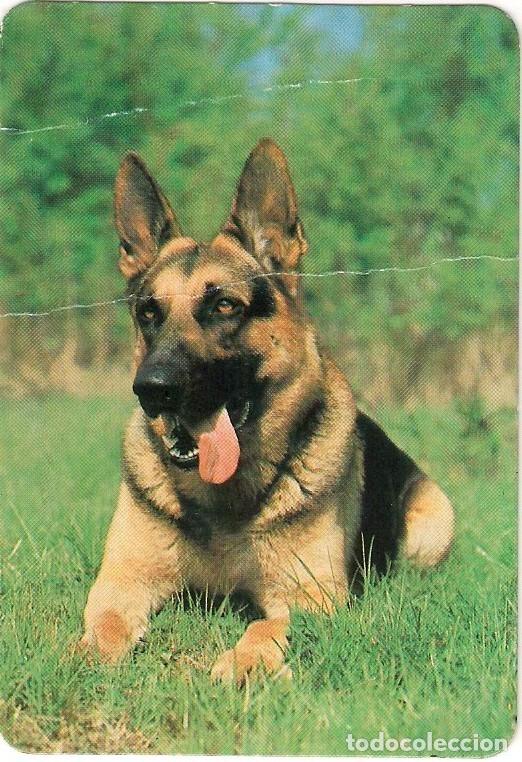 Coleccionismo Calendarios: CALENDARIO FORN PETIT ESTEL 1993