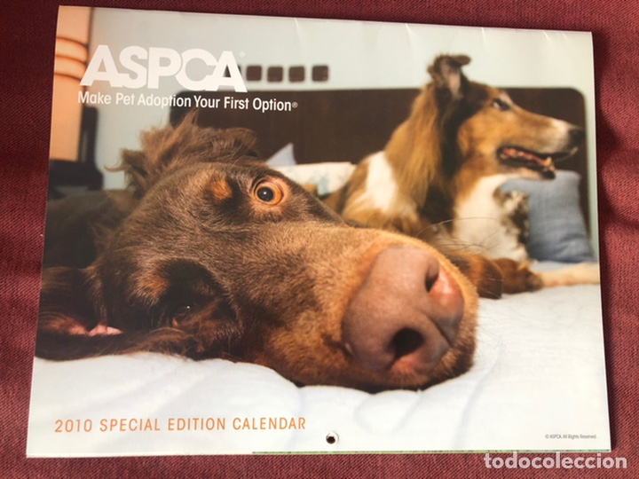 Sammeln von Kalendern: ASPCA 2010 Special Edition Calendar. 28 x 22 cm