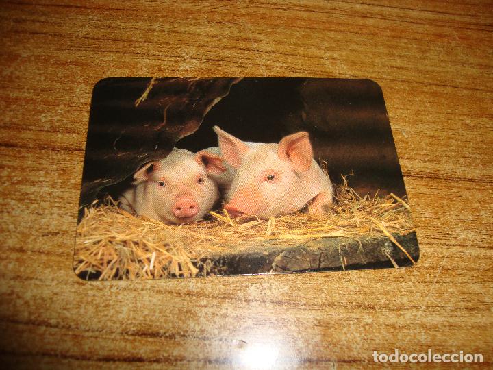 Coleccionismo Calendarios: CALENDARIO DE BOLSILLO SERIE TEMA ANIMALES CERDO 2003